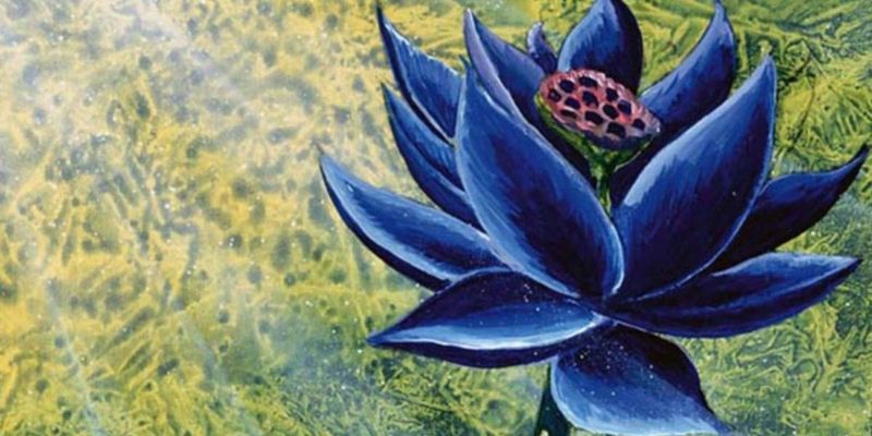 Το Alpha Black Lotus της Magic The Gathering πωλείται για πάνω από 500.000 $