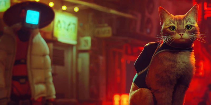   לִסְטוֹת's Orange Cat Sits and Looks Cute