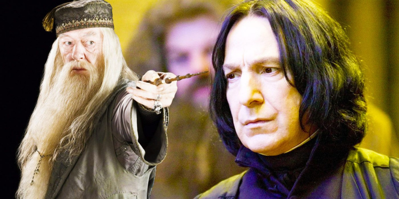   Harry Potter Dumbledore és Piton